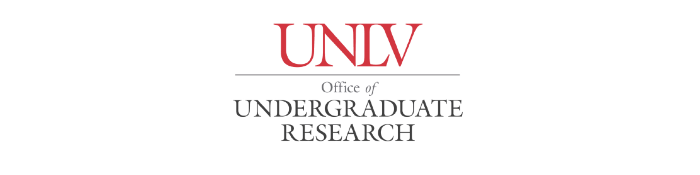 Rhynhardt Mudde: Summer Undergraduate Research Fellowship